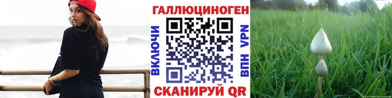 Купить закладки  Бор  Галлюциногенные грибы GOLDEN TEACHER 